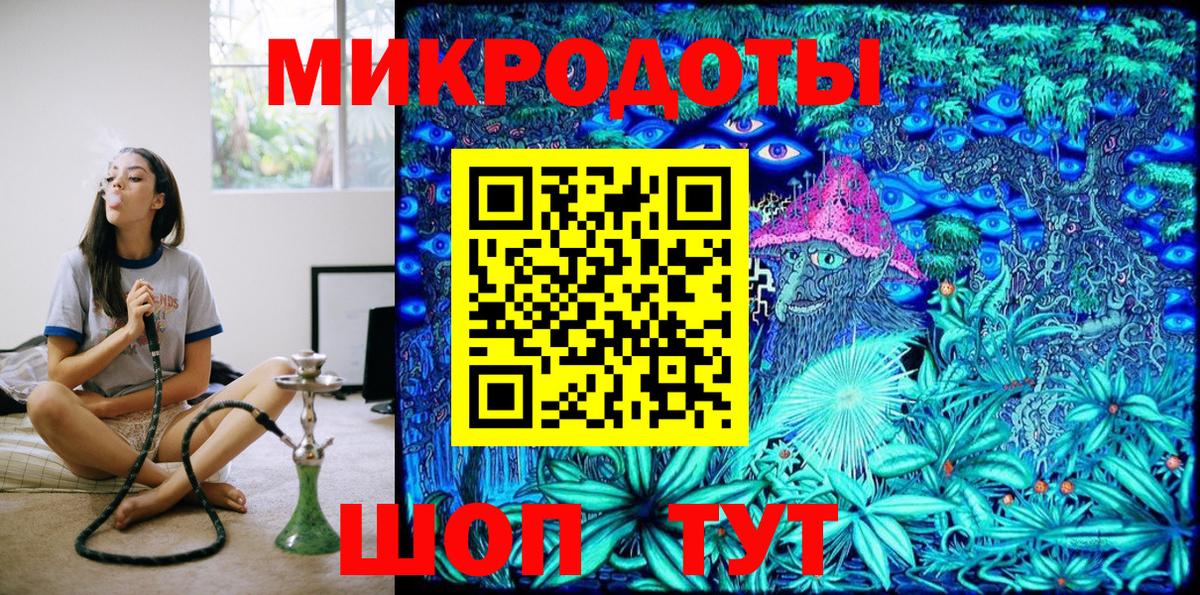 Псилоцибиновые грибы Psilocybine cubensis Калининград