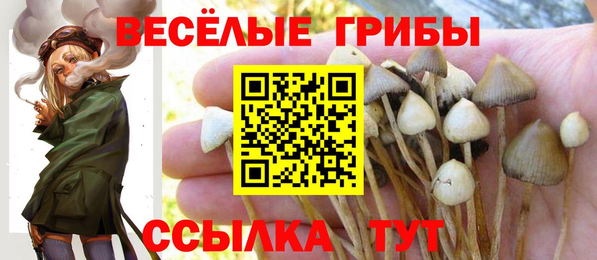 Калининград  Галлюциногенные грибы ЛСД  Псилоцибиновые грибы ЛСД  продажа наркотиков  Вход с VPN 